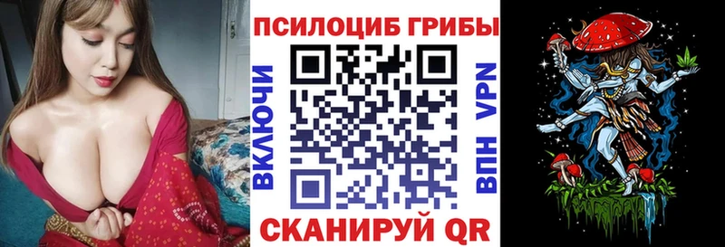 Купить закладки  Кореновск  Псилоцибиновые грибы Cubensis 